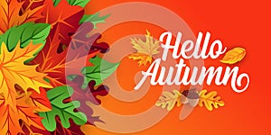 Autumn background vector with decorative leaves. Autumn fall Vector background template. Abstract Autumn background design