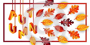 Autumn background vector with decorative leaves. Autumn fall Vector background template. Abstract Autumn background design