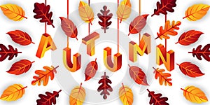 Autumn background vector with decorative leaves. Autumn fall Vector background template. Abstract Autumn background design