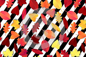 Autumn background vector illustration