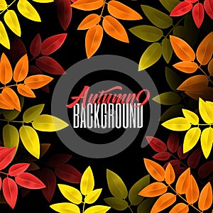 Autumn background. Vector illustration. Decorate with leaves for shopping sale or promo poster and frame leaflet or web