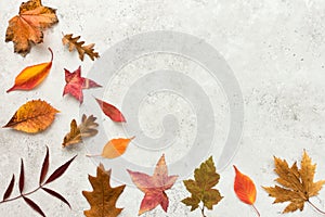 Autumn Background with Vibrant Autumn Leaves on Gray Stone