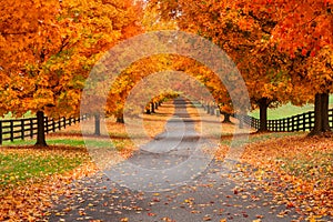 Autumn Background Virginia Piedmont Country Lane