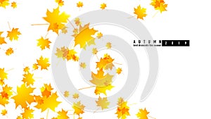 Autumn background for wallpaper. Template for the presentation of autumn discounts in the store. Advertising poster for seasonal i