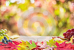 Autumn background with a whis autumn colorful leaves and beautiful sunny bokeh