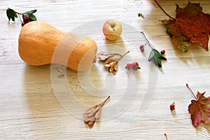 Autumn background on white rustic surface.