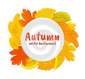 Autumn background. Yellow leaves circle frame. Oak and maple orange foliage render. Nature plants. Botanical wreath