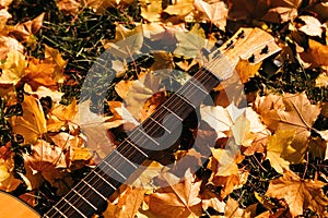 Autumn background with yellow leaves in the park and with a guitar