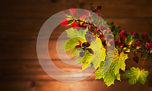 Autumn background with yellow and red leaves.