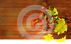 Autumn background with yellow and red leaves