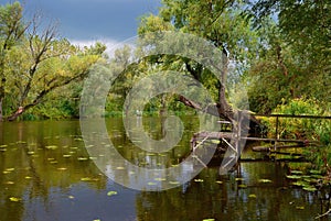 Autumn backwater reflection