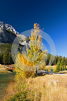 Autumn in Banff National Park