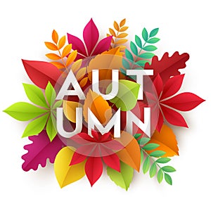 Autumn banner background with paper fall leaves. Vector illustration