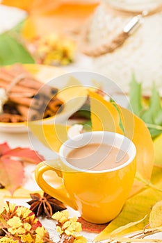 Autumn banner with cup of coffee with cinnamon on white wooden background with colorful tree leaves.