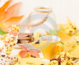 Autumn banner with cup of coffee with cinnamon on white wooden background with colorful tree leaves.