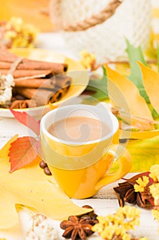 Autumn banner with cup of coffee with cinnamon on white wooden background with colorful tree leaves.