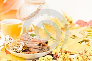 Autumn banner with cup of coffee with cinnamon on white wooden background with colorful tree leaves.