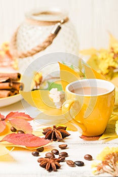 Autumn banner with cup of coffee with cinnamon on white wooden background with colorful tree leaves.