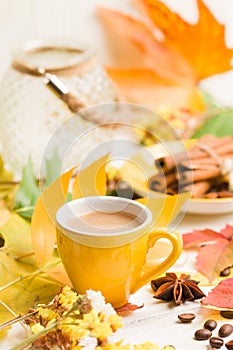 Autumn banner with cup of coffee with cinnamon on white wooden background with colorful tree leaves.