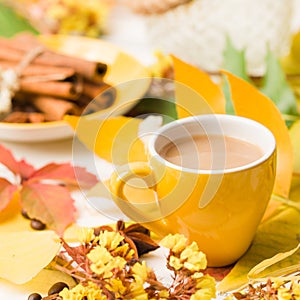 Autumn banner with cup of coffee with cinnamon on white wooden background with colorful tree leaves.