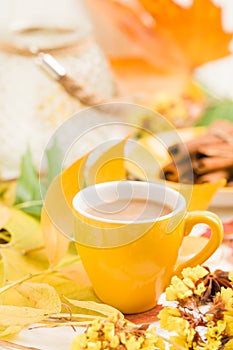 Autumn banner with cup of coffee with cinnamon on white wooden background with colorful tree leaves.