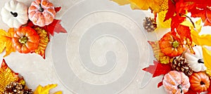 Autumn banner fall abstract background with colorful leaves, pine cones and pumpkins on bright background, copy space