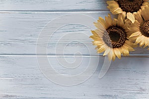 Autumn banner with flowers of sunflower on a light wooden background. Frame for greeting card with flowers of sunflower. View from