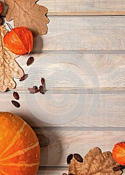 Autumn banner. Pumpkin, dried oak leaves and physalis on a light