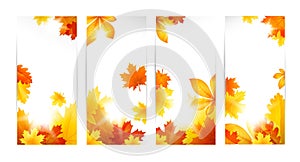 Autumn banners with leaves