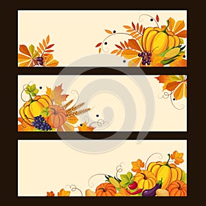 Autumn Banners with Ripe Vegetables, Swirls and