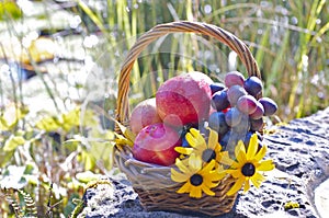 Autumn basket