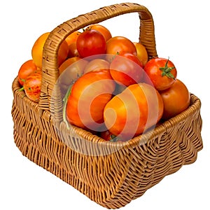 Autumn basket with tomatoes isolated on a white background.