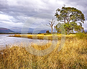 Autumn on Bassenthwaite lake