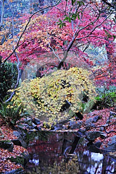 Autumn beacon hill park