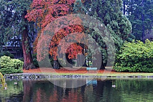 Autumn beacon hill park