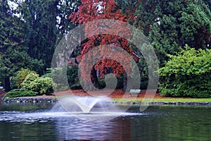 Autumn beacon hill park