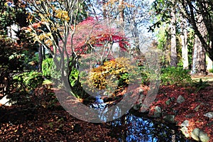 Autumn beacon hill park