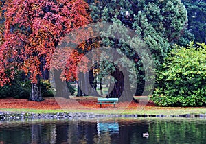 Autumn beacon hill park