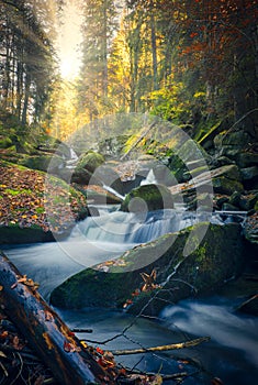 Autumn beauty. Beautiful wild landscape during the fall.