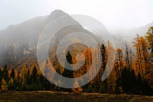 The autumn beauty of Four Girls Mountain