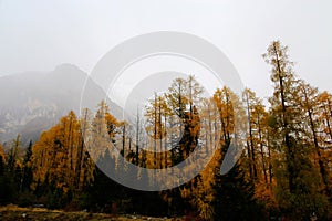 The autumn beauty of Four Girls Mountain