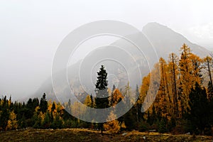 The autumn beauty of Four Girls Mountain