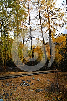 The autumn beauty of Four Girls Mountain