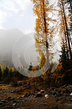 The autumn beauty of Four Girls Mountain