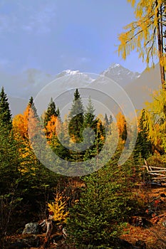 The autumn beauty of Four Girls Mountain