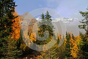 The autumn beauty of Four Girls Mountain