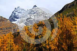 The autumn beauty of Four Girls Mountain