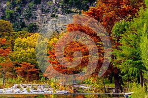 Autumn Beauty at Garner State Park, Texas