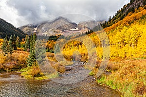 Autunno bellezza sul colore marrone-rosso campane 