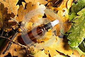 Autumn Beauty product creative composition.